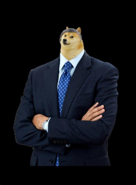 [DOGE.